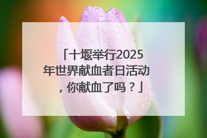十堰举行2025年世界献血者日活动，你献血了吗？